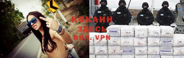 винт Абаза