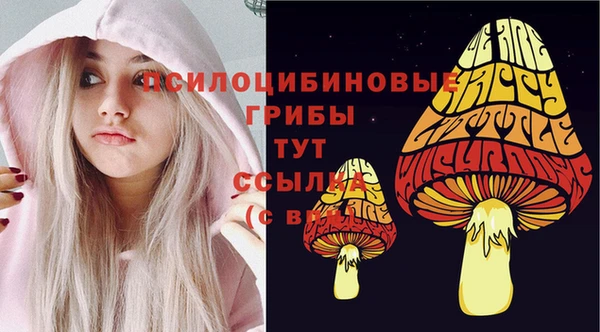 ECSTASY Абдулино