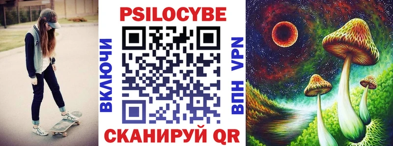 Галлюциногенные грибы Psilocybine cubensis  Новотитаровская 